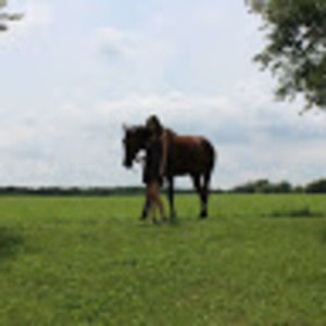 Meet your Posher, Maddy